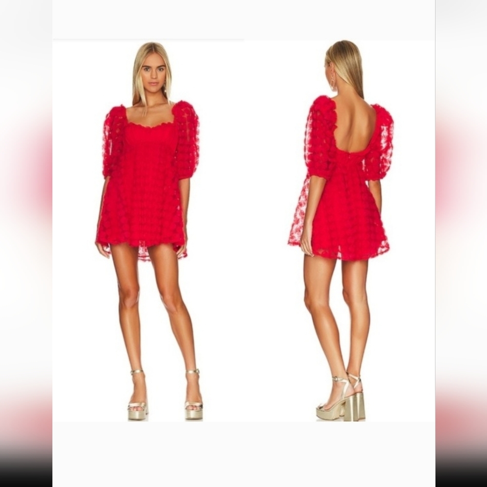 For The Love And Lemon Hannah Mini Dress With Ambroided Floral Lace